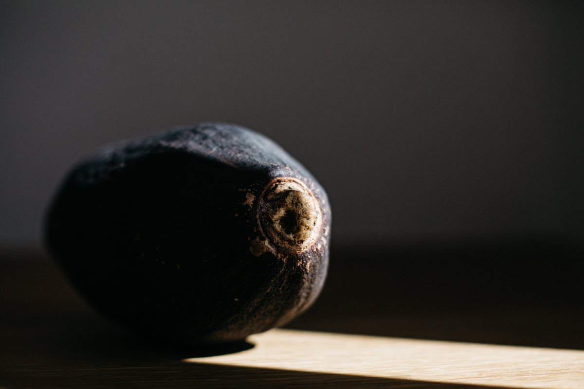 Is Baobab Fruit Powder The Super Food of the Future? - KAIBAE