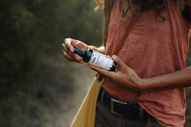 5 Things You Should Know About Postbiotics - KAIBAE