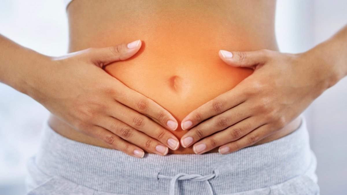 How Does the Gut Microbiome Affect Your Health? - KAIBAE